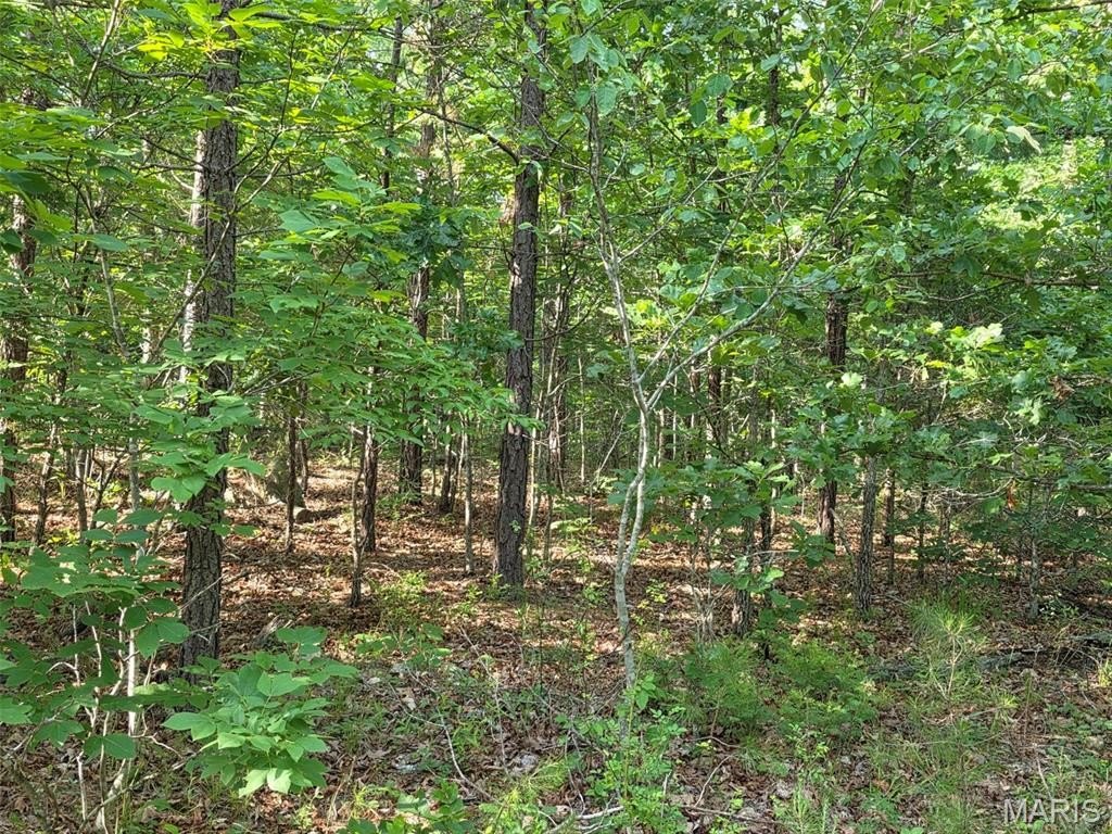 Picture 15