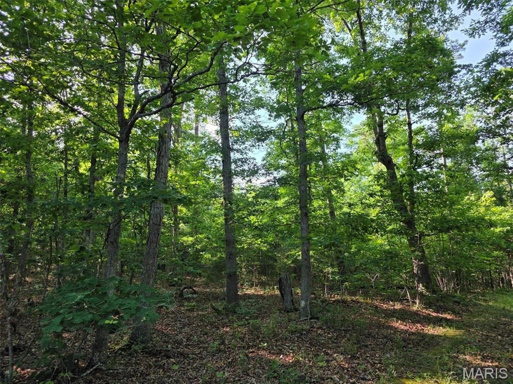 Picture 16