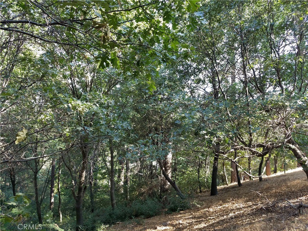 Picture 17