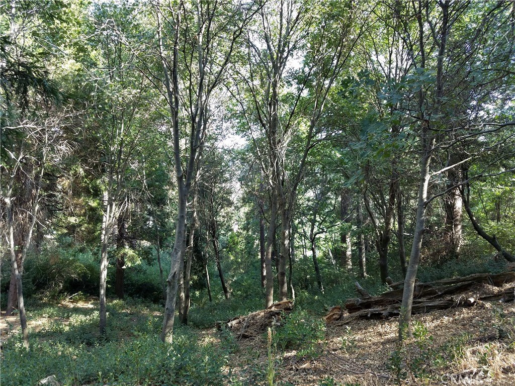 Picture 16