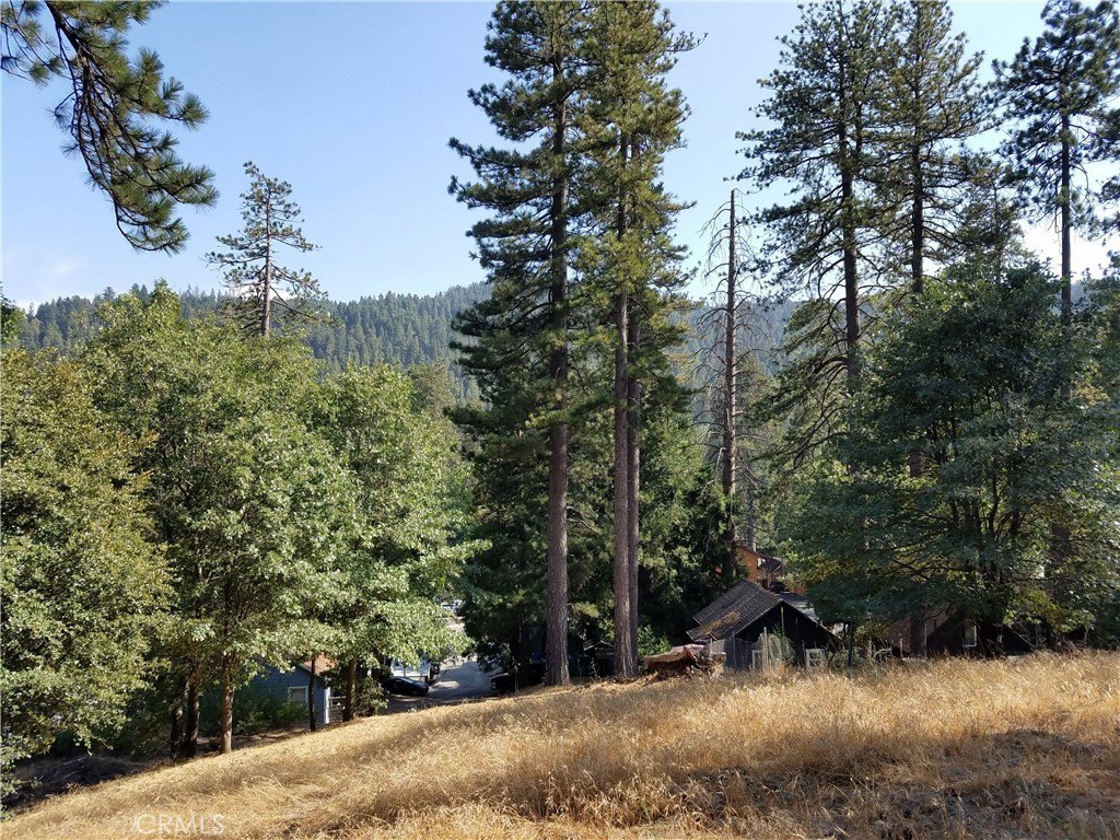 Picture 9
