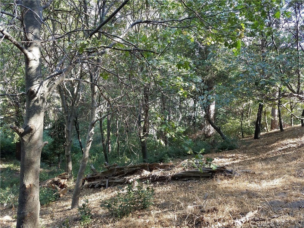 Picture 15