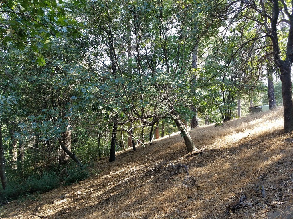 Picture 18