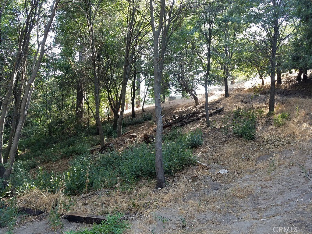 Picture 25