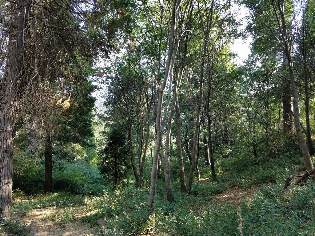 Picture 14