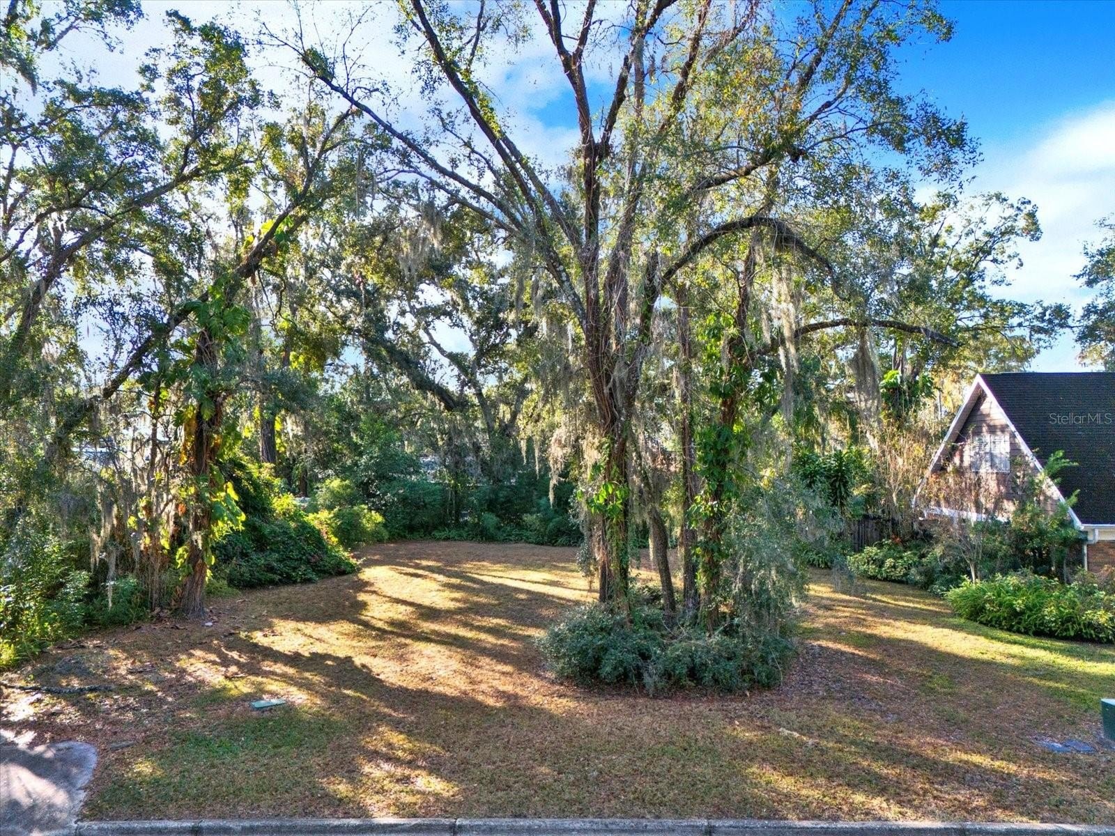 Vacant Lot in Temple Terrace
