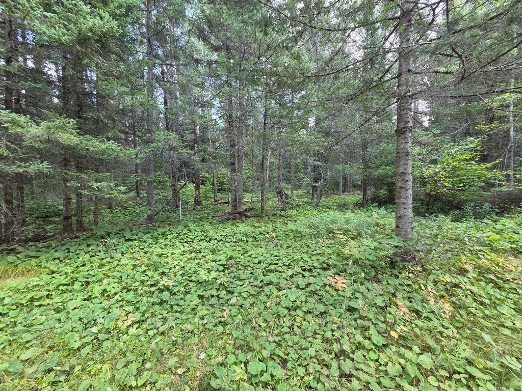 Picture 27