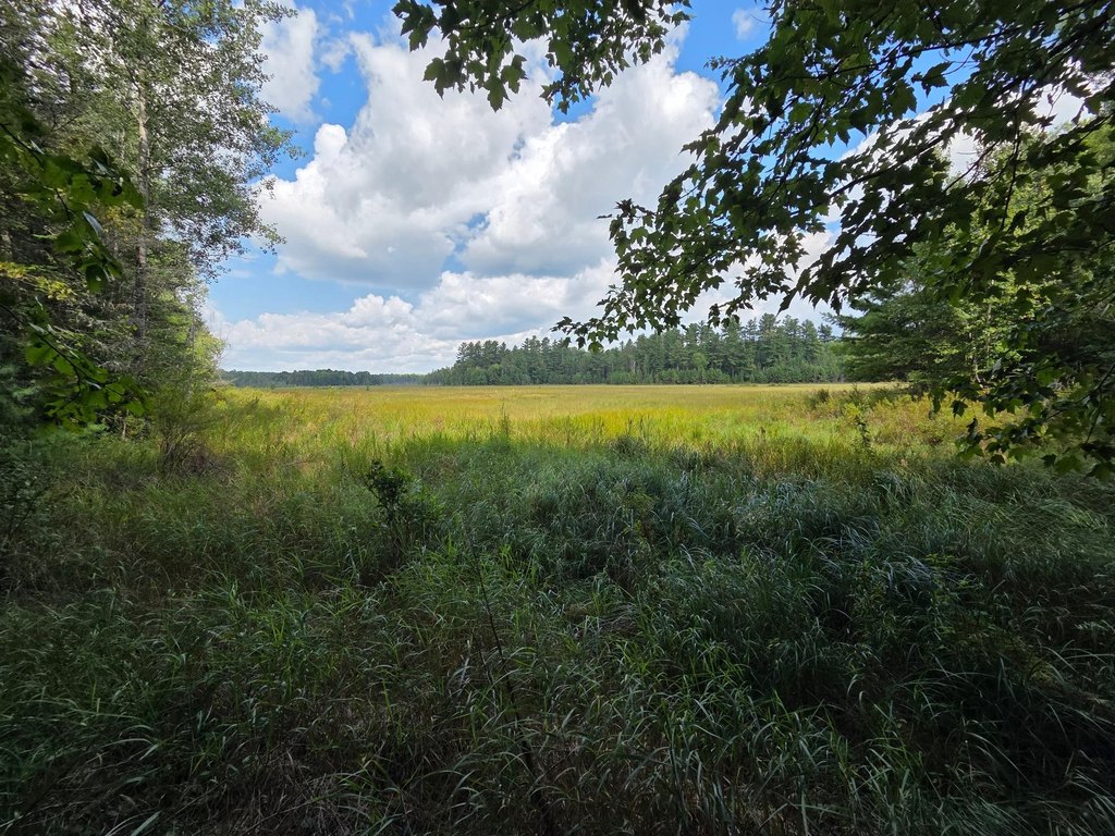Picture 37