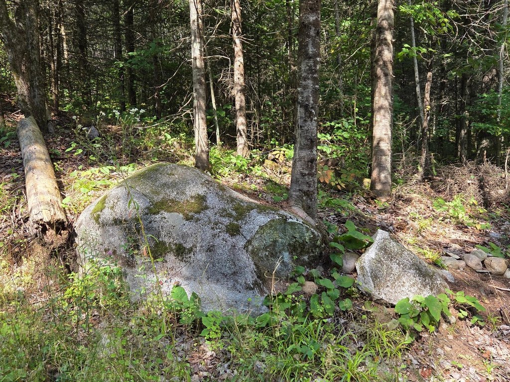 Picture 18