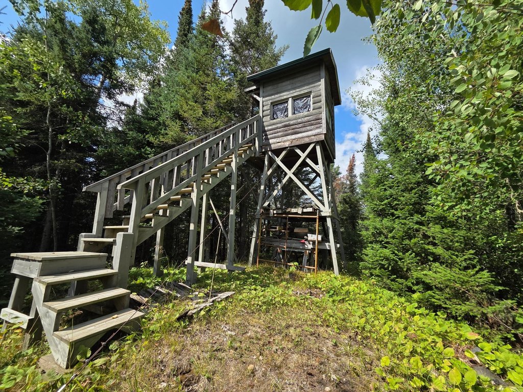 Picture 5