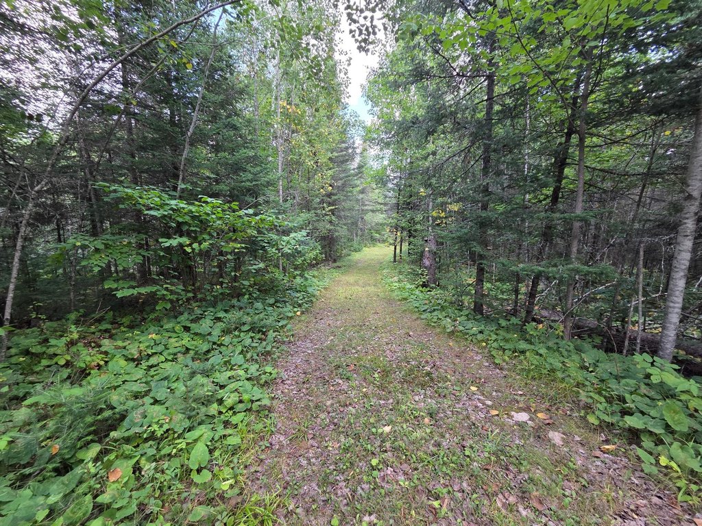 Picture 25