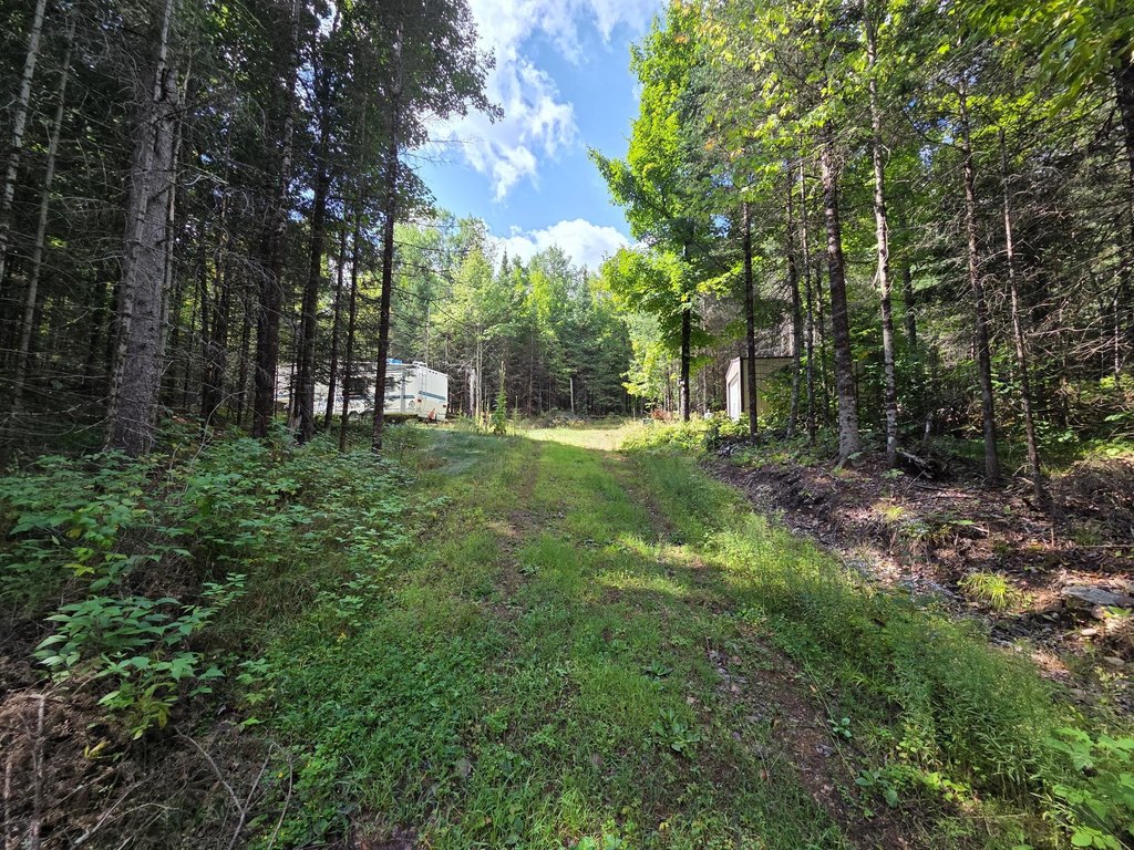 Picture 23