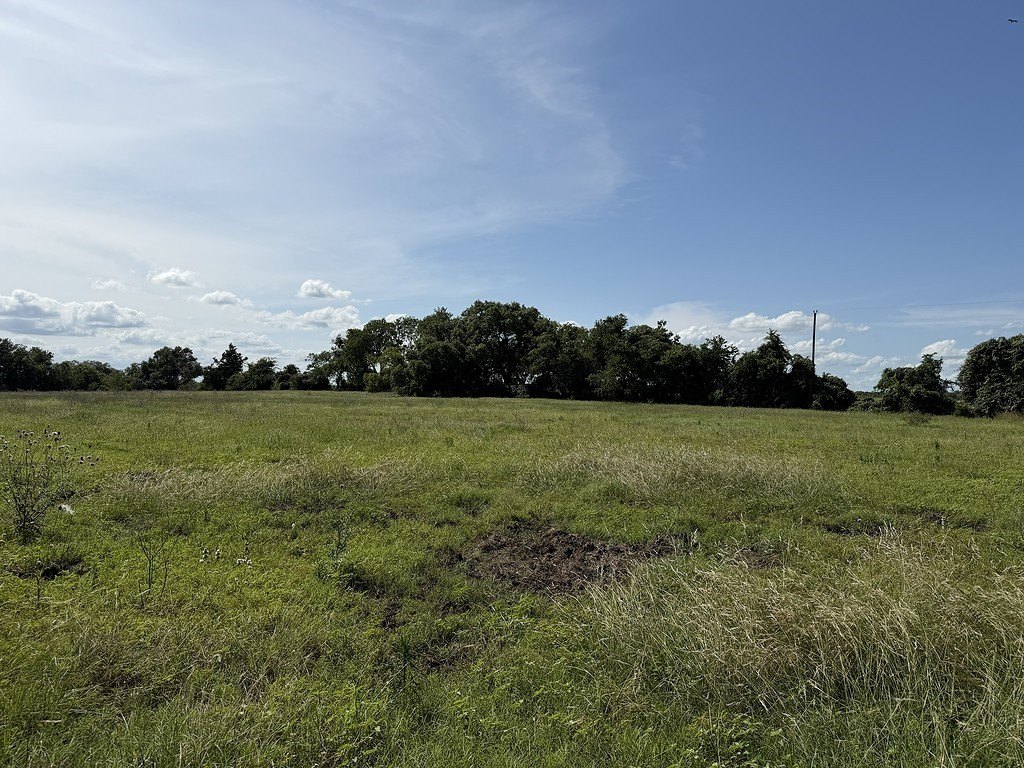 Picture 9