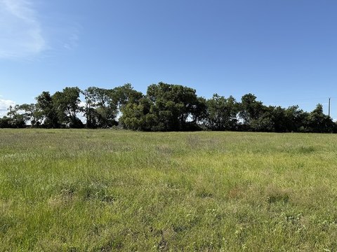 Weimar, TX Open Country Land
