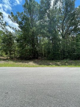 Land, DUNNELLON, FL