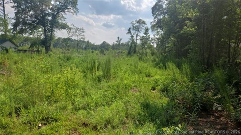 LAND - Fayetteville, NC