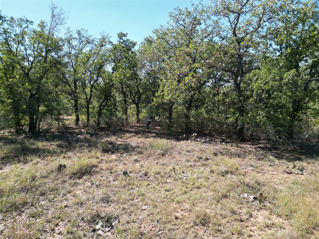 Picture 15