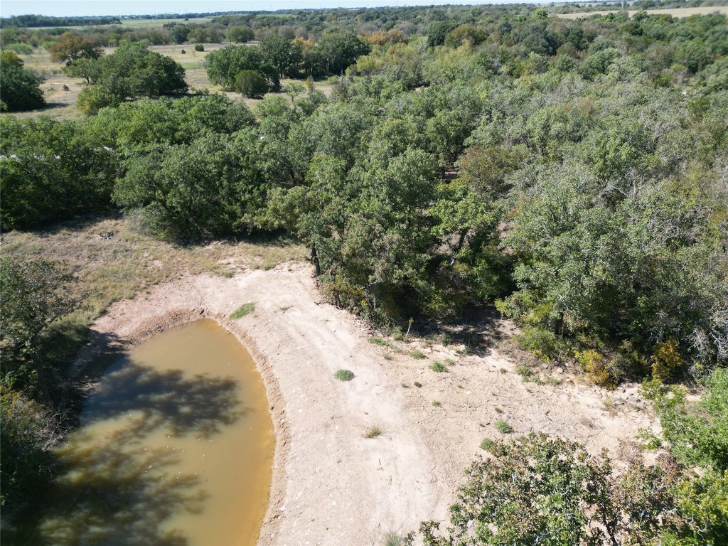 Picture 37