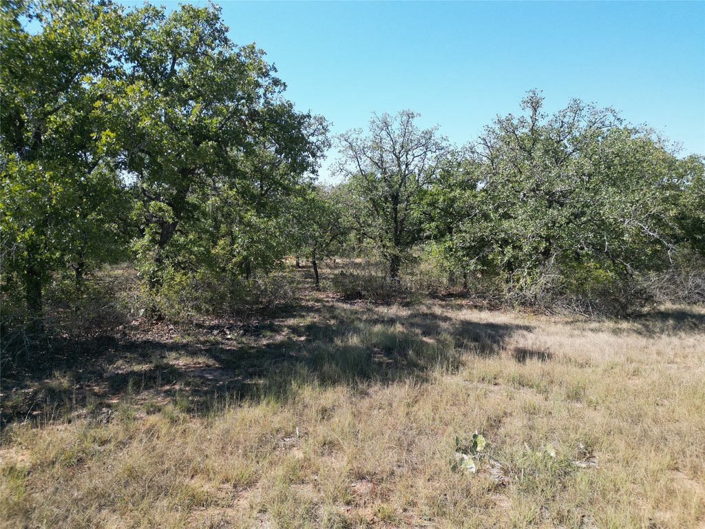 Picture 23