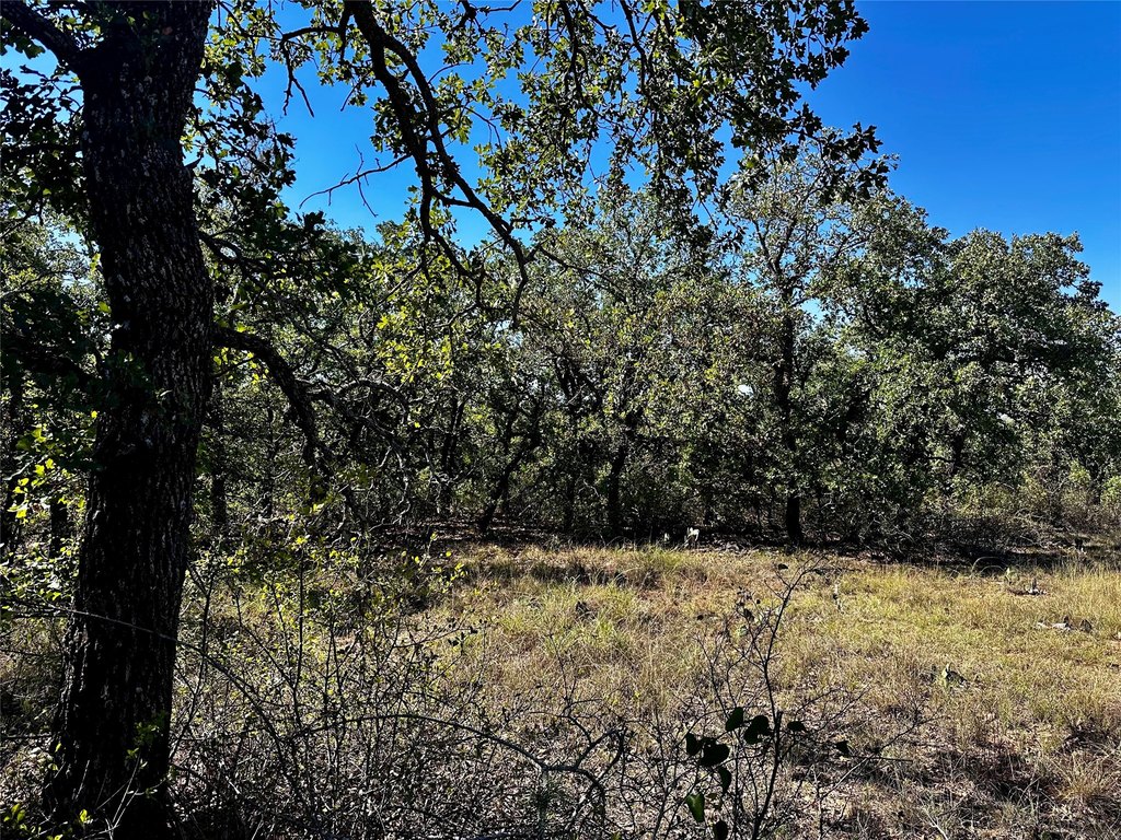 Picture 33