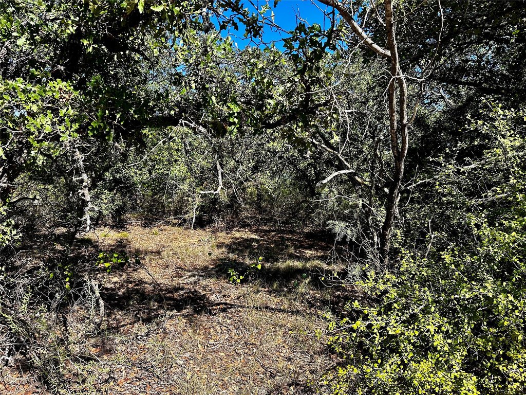 Picture 25