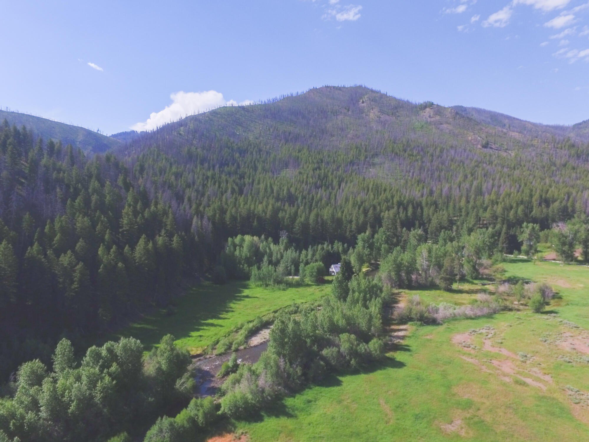 Rare Land Near Warm Springs