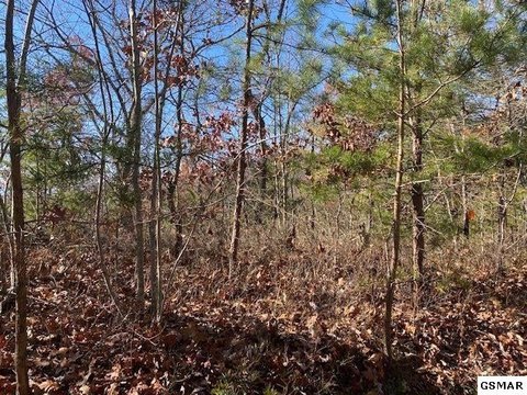 Residential Land in Sevierville, TN