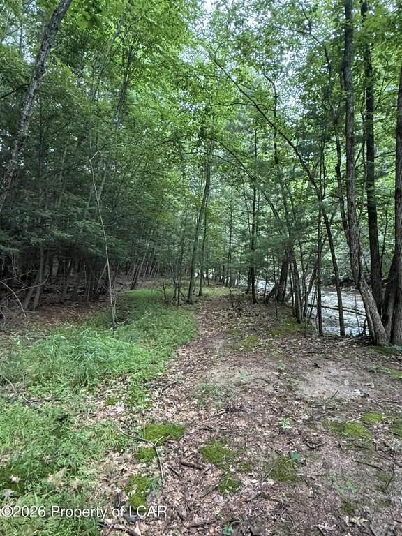 Picture 5
