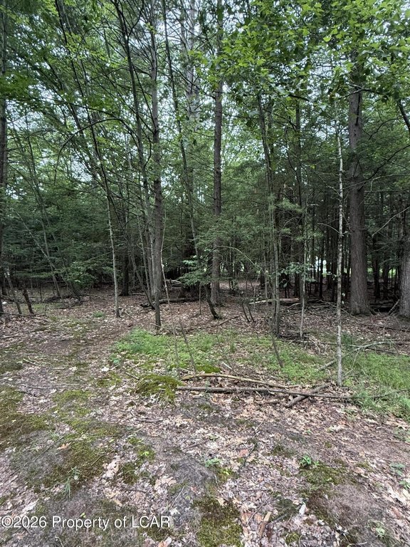 Picture 10