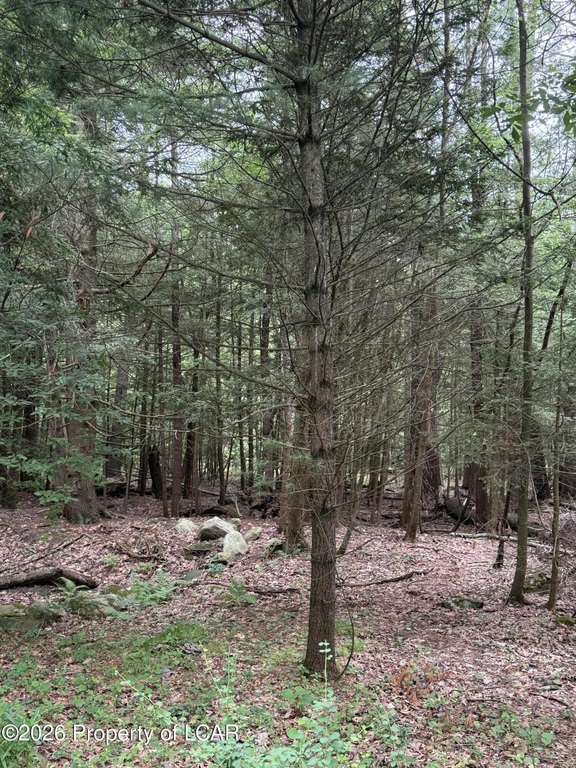 Picture 11