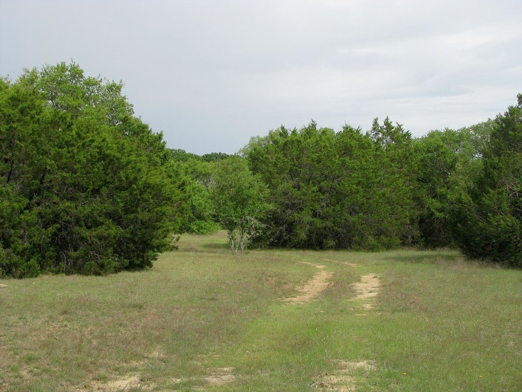Picture 31
