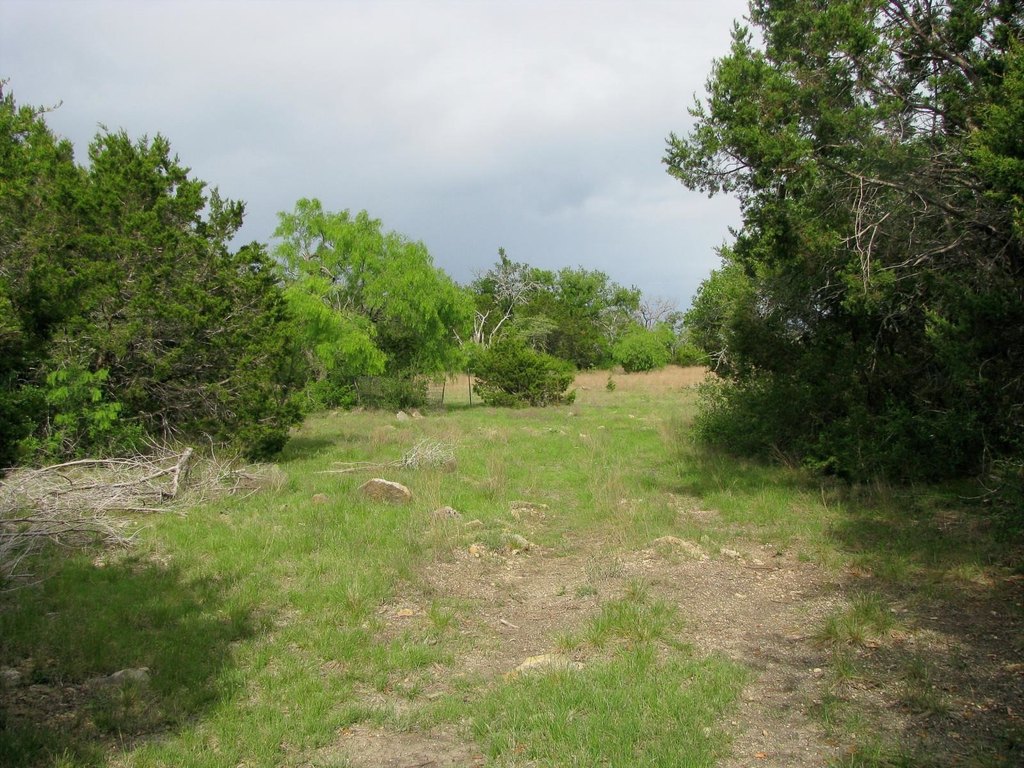 Picture 25