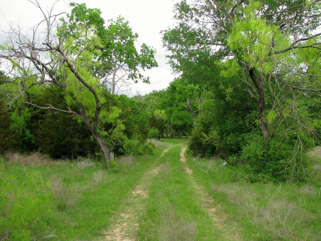 Picture 21