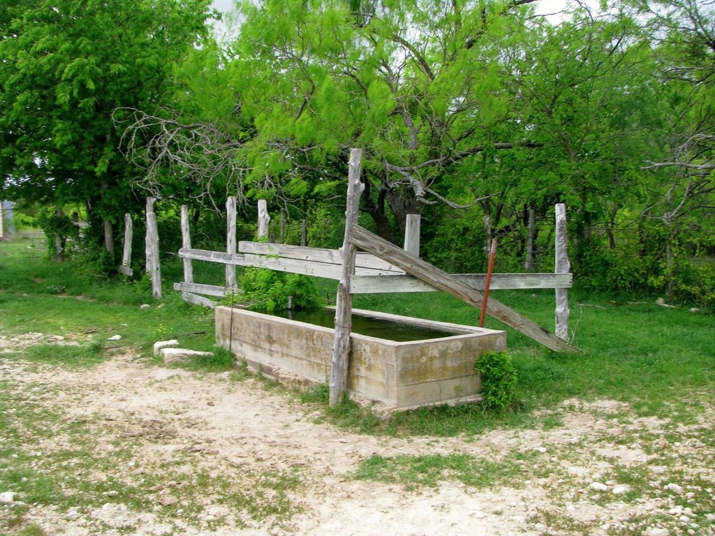 Picture 16