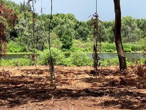 Land, ODESSA, FL