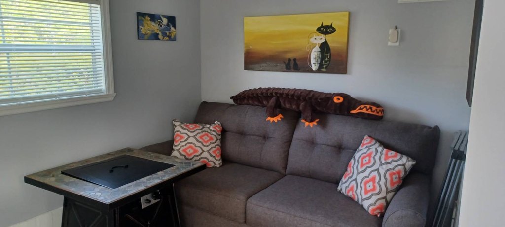 Picture 8
