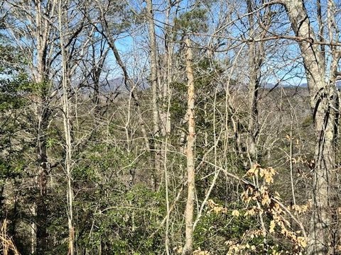 Recreation Resort Lot in Gated Community