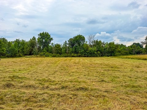LAND - Wadsworth, OH