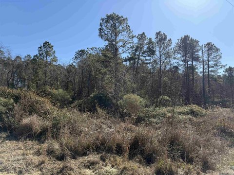 Residential Lot in Livingston, LA