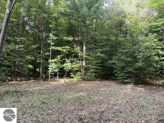 Picture 21