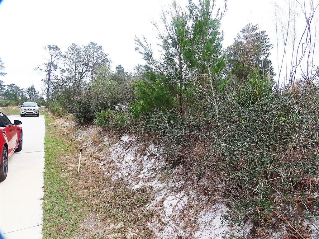 Picture 3