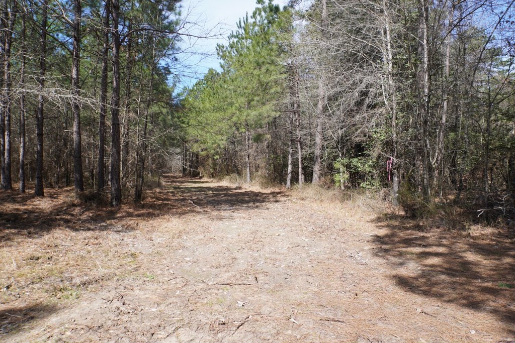 Picture 46