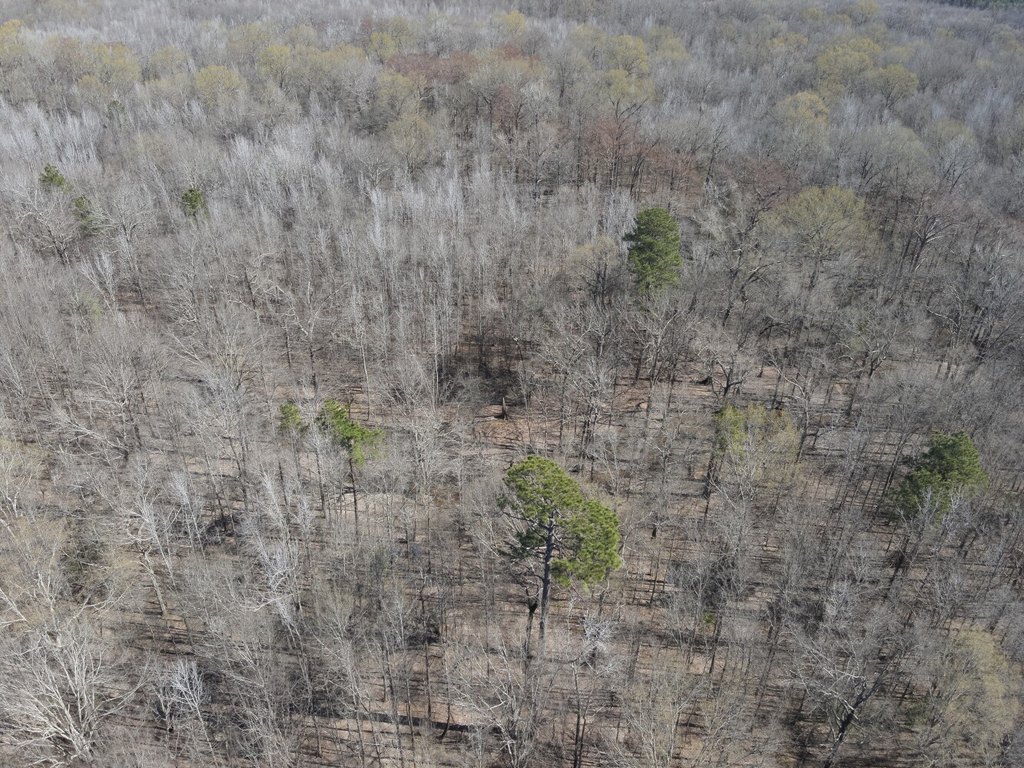 Picture 22