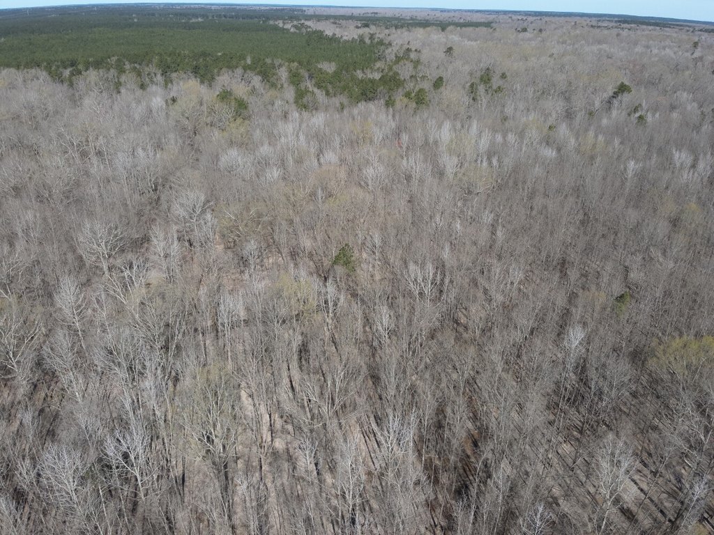Picture 19