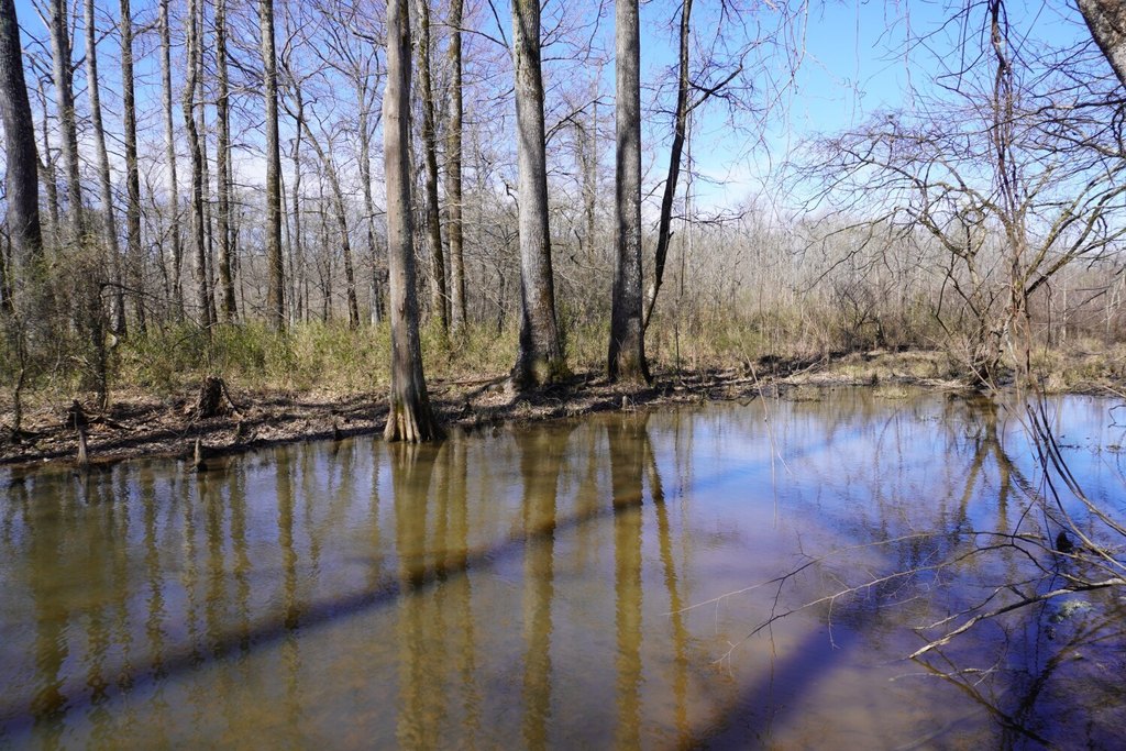 Picture 43