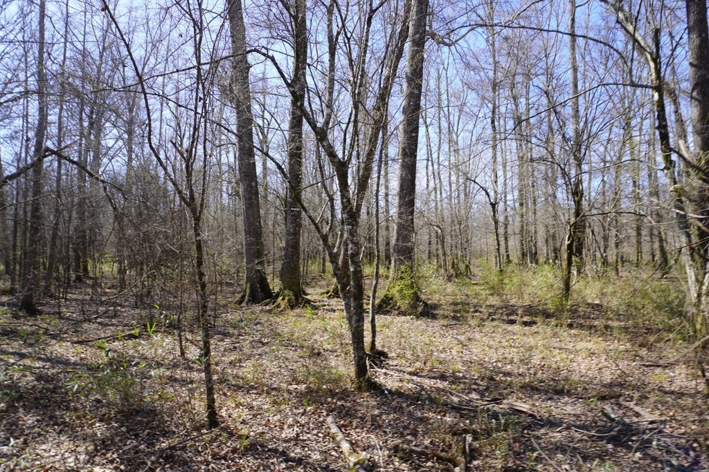 Picture 39