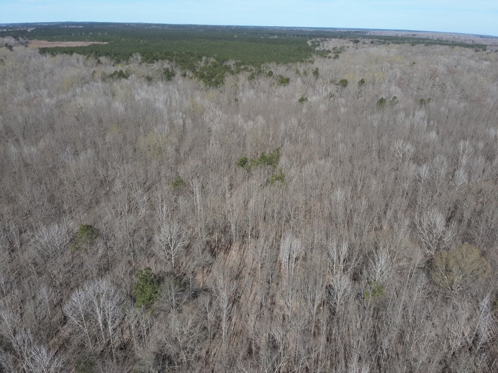 Picture 25