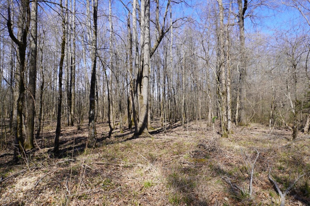 Picture 31