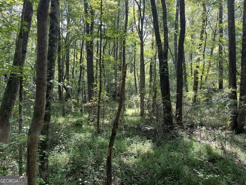 8 Acres Wooded Land