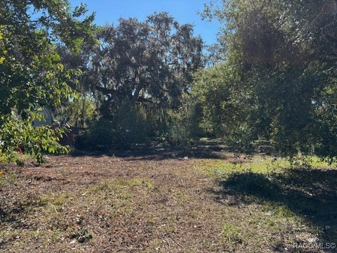 Waterfront Lot in Inverness, FL